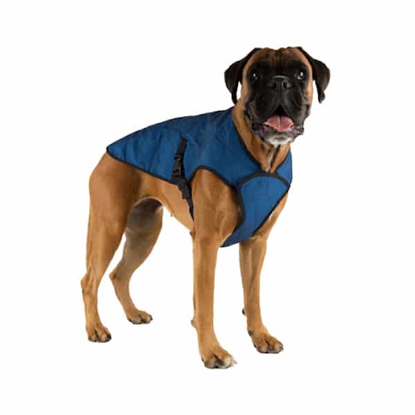 dog cooling jackets