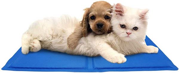 cooling down pets with mat