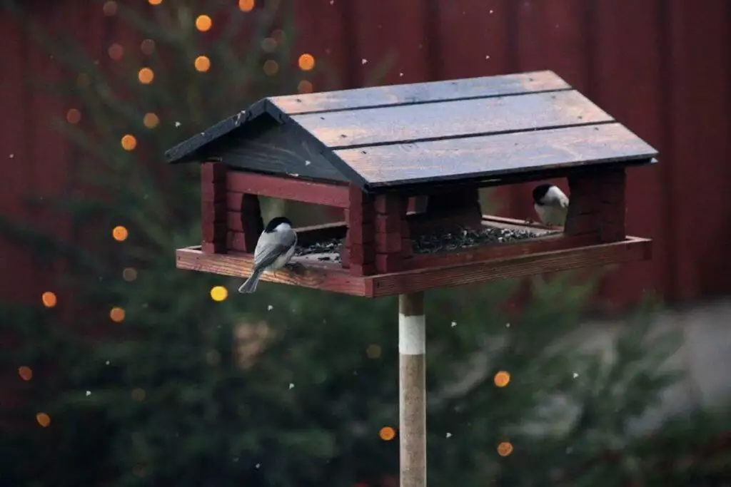 most attractive bird tables