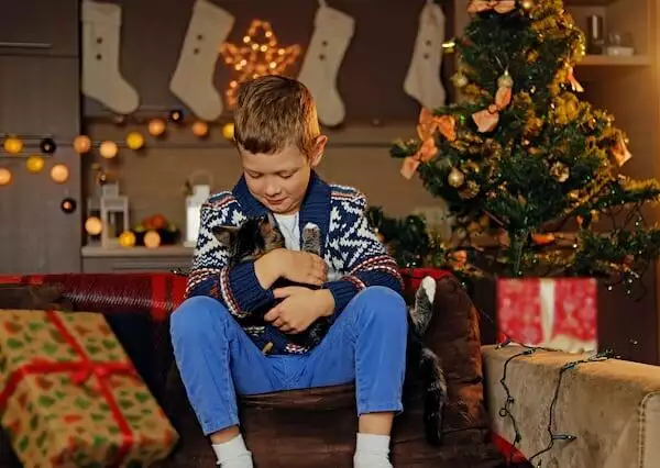 Best christmas themed names for a cat