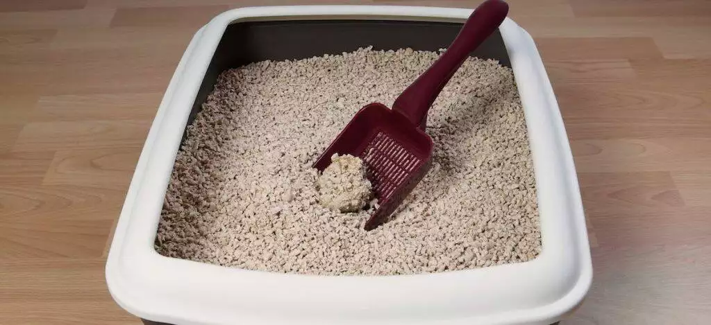 Best Clumping Cat Litter