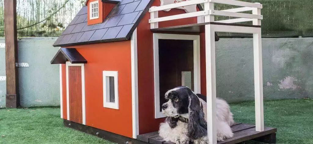 Best Outdoor Dog Kennel