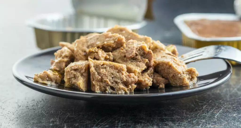 Best Wet Cat Food UK