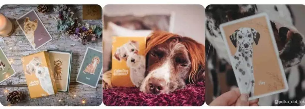 Calm Dog Games Vol 1 Multipack