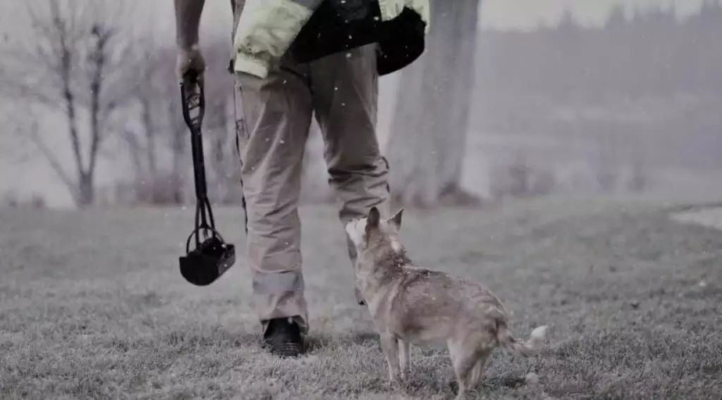 Best Dog Pooper Scooper