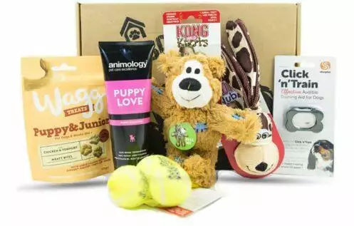 DogBox-Boutique-Puppy-Hamper-Dog-Gift-Box-1-e1631624360154