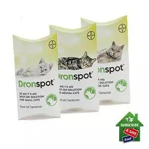 Dronspot-Spot-On-Cat-Worming-Treatment