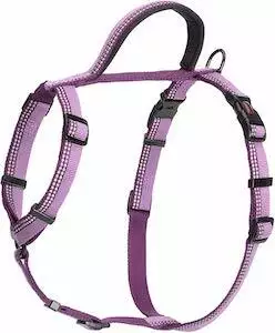 Halti Walking Harness