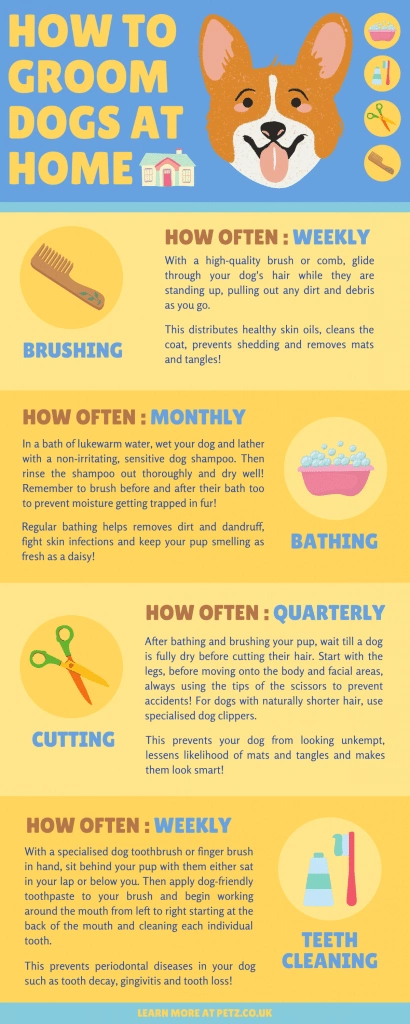 why you should groom dogs at home