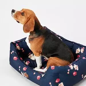 Joules-Floral-Square-Dog-Bed