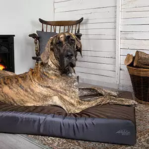Scruffs-ArmourDillo-Orthopaedic-Dog-Bed