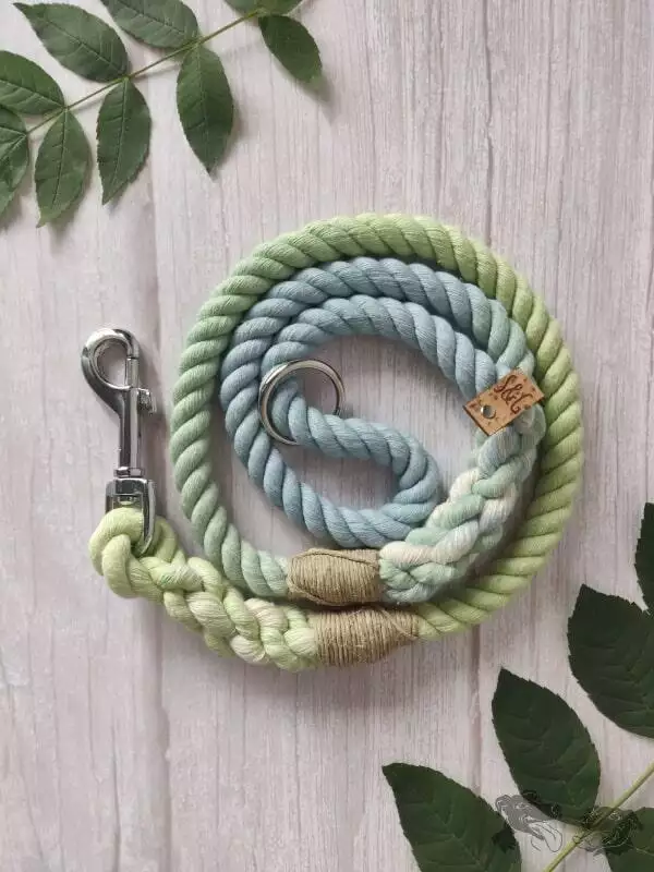 best eco-friendly leads