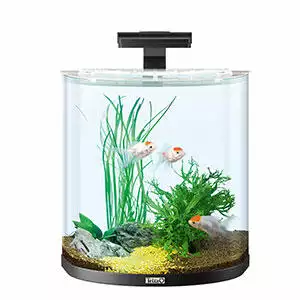 Tetra-AquaArt-Explorer-Line-Aquarium-with-LED-Lighting