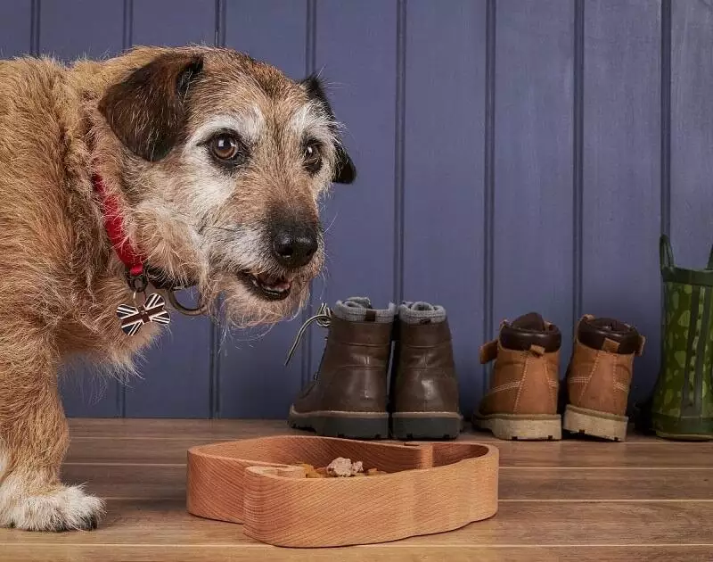 The Woodlife Project Wooden Pet Bowl