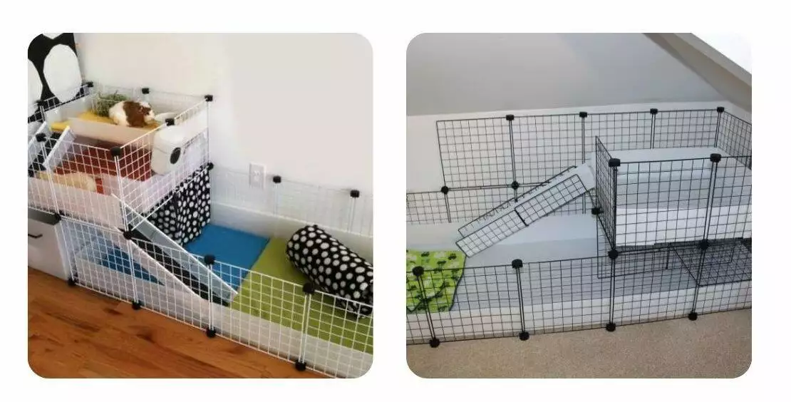 how to make a DIY CC guinea pig cage